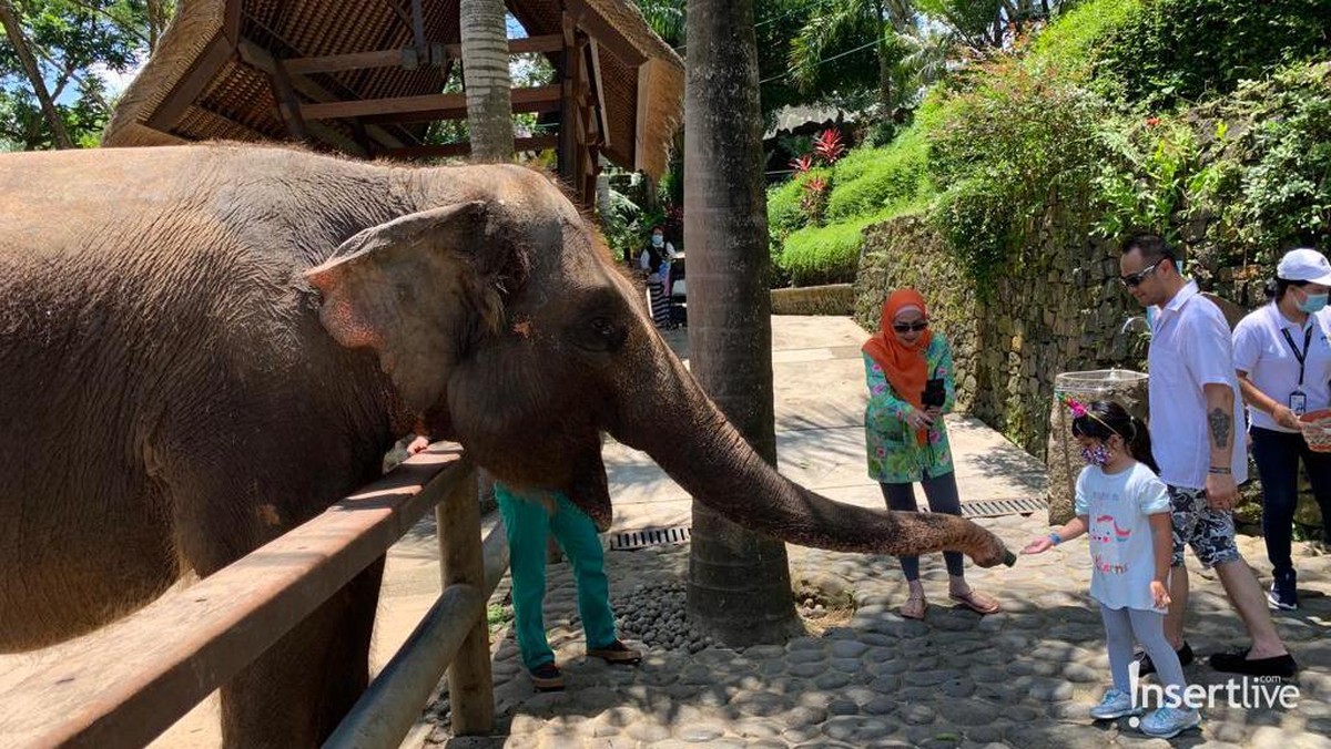 Venna Melinda dan Ferry Irawan telah sah menjadi suami istri&comma; mereka pun bulan madu di Bali dan ajak Vania jalan-jalan&period; Yuk&comma; intip&excl;