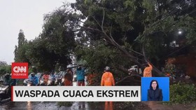 VIDEO: Waspada Cuaca Ekstrem, Hujan Disertai Angin Kencang