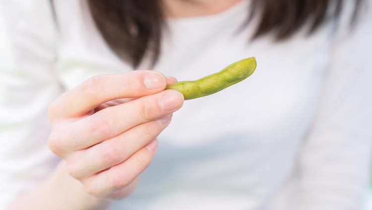 Ilustrasi edamame Ilustrasi edamame