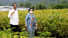 Jokowi Respons Kabar Rencana Bertemu Megawati Dijembatani Sultan DIY