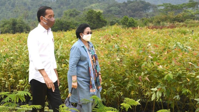 Ketua Dewan Pengarah BPIP Megawati mengatakan Presiden Jokowi menolak usulan dirinya untuk menutup tambang di Indonesia lantaran dinilai ekstrem.