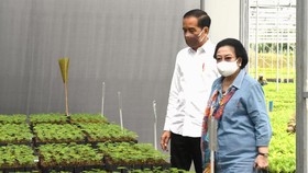 Bandara Bali Utara, Ditendang dari Proyek Jokowi Kini Diamuk Mega
