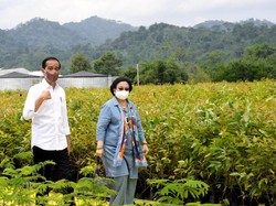 Spekulasi Seputar Hubungan Jokowi dan Megawati