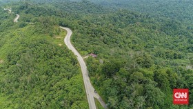 LSM Tolak Kawasan Hutan Kaltim Dilepas: Pro Korporasi, Badak Punah