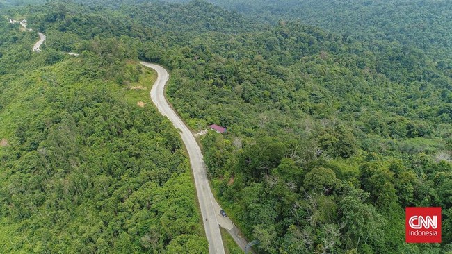 Koalisi Indonesia Memantau menolak rencana pelepasan status kawasan hutan di Kaltim melalui revisi Rencana Tata Ruang Wilayah (RTRW).