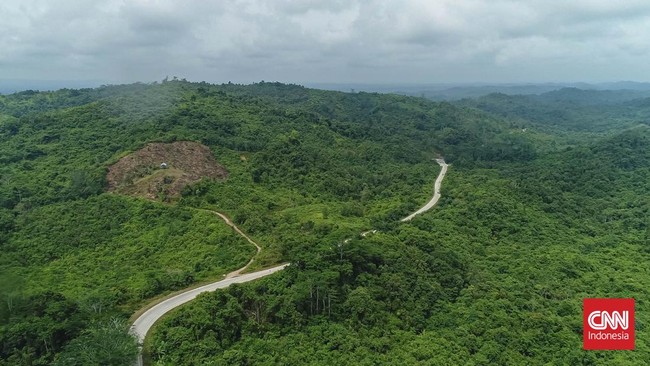 Perusahaan perkayuan asal Jepang berencana membangun pembangkit listrik tenaga biomassa (PLTBm) di Kubu Raya, Kalimantan Barat.