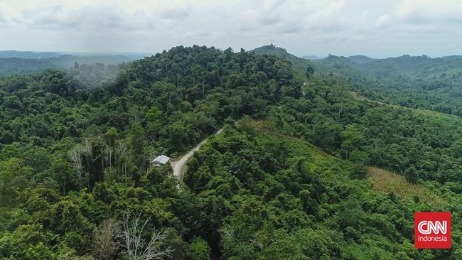 Indonesia menerima pembayaran pertama US,9 juta atau Rp320 miliar untuk kegiatan pengurangan emisi dari deforestasi dan degradasi hutan (REDD+) di Kaltim.