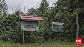 Walhi Curigai KLHK Gesit Tetapkan Kawasan Hutan Jelang 2024
