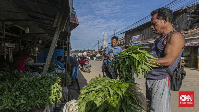 Sejumlah warga di Kecamatan Sepaku mengaku ketar-ketir dengan rencana wilayah mereka yang menjadi Ibu Kota Negara (IKN) baru pengganti Jakarta.