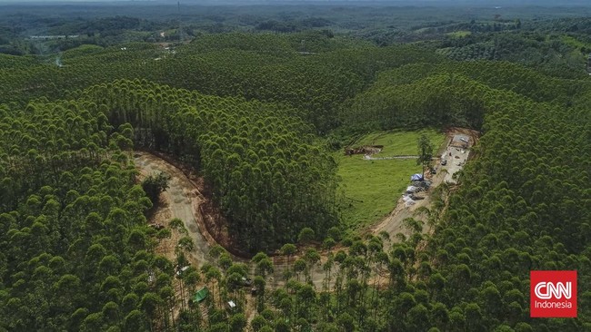 Titik nol IKN dan bakal istana negara saat ini berada di dalam hutan tanaman industri yang menjadi kawasan konsesi di Kecamatan Sepaku, Kabupaten PPU, Kaltim.
