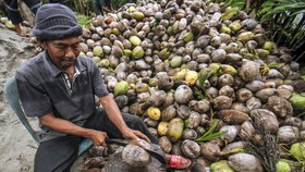 Daya Beli Petani Turun Dampak Kebutuhan Pokok Naik
