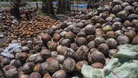 Harga Bahan Pokok Naik Jelang Lebaran, Kelapa Rp20 Ribu per Butir