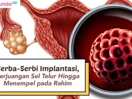 Serba-serbi Implantasi, Perjuangan Sel Telur Hingga Menempel pada Rahim