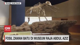 VIDEO: Fosil Zaman Batu di Museum Raja Abdul Aziz