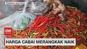 VIDEO: Harga Telur Ayam Dan Cabai Melejit