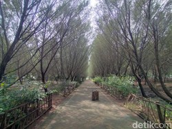 Surabaya Punya Hutan Kota Cocok jadi Tempat Healing Saat Weekend, Penasaran?