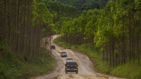Tanah Keraton DIY dan Baduy Diterbangkan ke IKN Nusantara