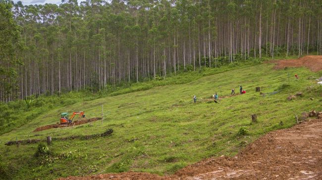 34 Gubernur dan 15 Tokoh Dipastikan Ikut Kemah di IKN bareng Jokowi