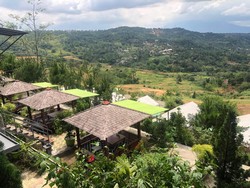 Cari Tempat Healing di Bogor? Coba Mampir ke Cemara Terrace