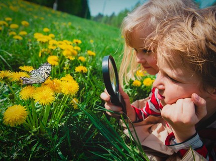 6 Contoh Simbiosis Mutualisme, Si Kecil Sudah Mempelajarinya?