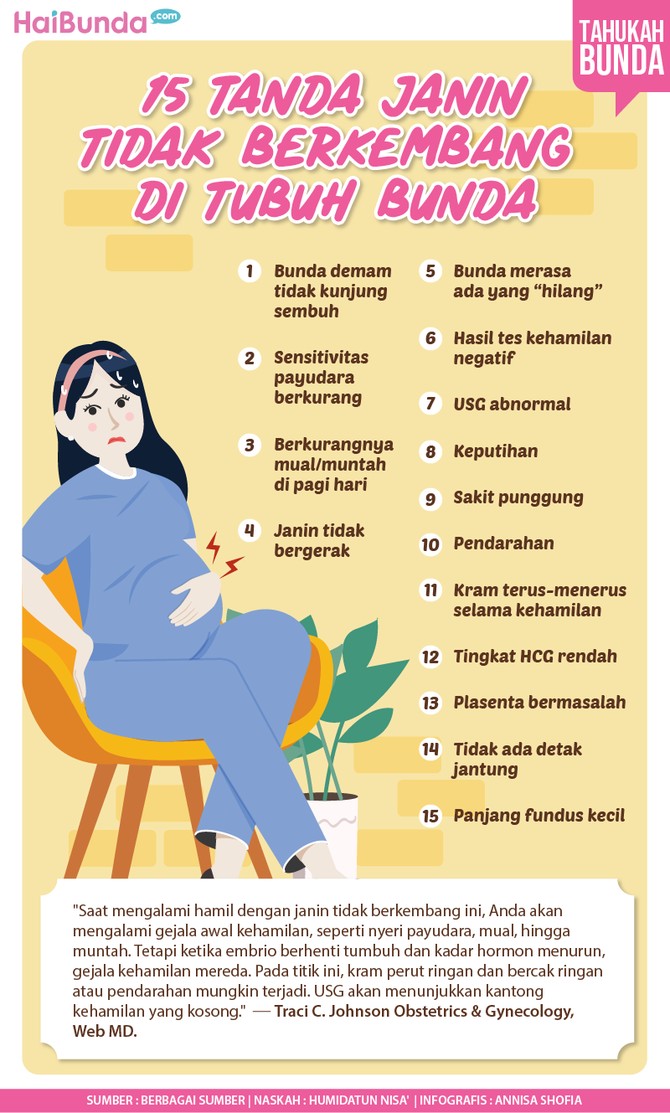 Infografis 15 Tanda Janin Tidak Berkembang di Tubuh Bunda Infografis 15 Tanda Janin Tidak Berkembang di Tubuh Bunda