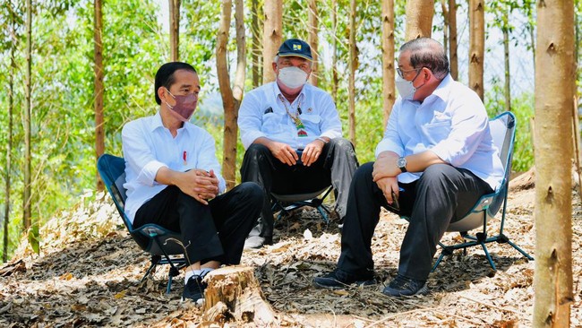 Presiden Jokowi mengaku terkejut dengan tingginya minat investor di IKN Nusantara. Bahkan, ia mengklaim investasi mengalami kelebihan permintaan.