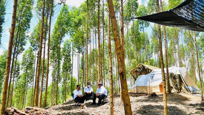 FOTO: Mengintip Perkemahan Jokowi di Kawasan Inti IKN Nusantara