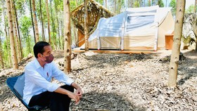 Jokowi Bicara Kendala Berkantor di IKN Juli: Tiap Hari Hujan Terus