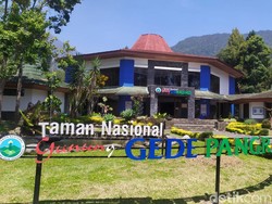 9 Pendaki Ilegal Gunung Gede Pangrango Kena Blacklist 2 Tahun