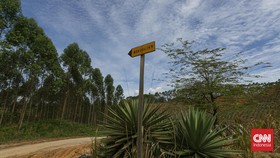 img-title Cara Kerja Palapa Ring yang Bantu Internet Ngebut di IKN