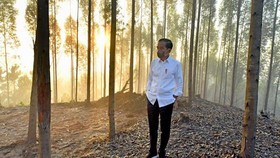 img-title Titipan Investor di UU IKN: Mau Lahan Dijual, Tak Cuma Kuasai 90 Tahun