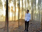 Titipan Investor di UU IKN: Mau Lahan Dijual, Tak Cuma Kuasai 90 Tahun