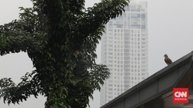 img-title FOTO : Kabut Polusi di DKI Jakarta