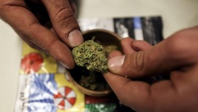 Sering Disebut-sebut, Apa Itu Ganja Medis?