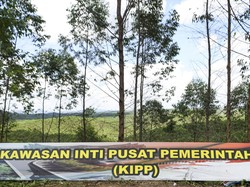 Terungkap! Ini Rute hingga Stasiun Kereta di IKN Nusantara
