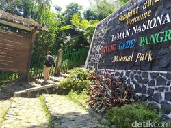 Misteri Kematian Pendaki asal Depok di Gunung Gede Pangrango