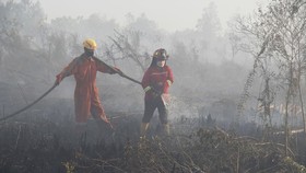 Karhutla 560 Hektare di Samosir Sumut Agustus ini, Ada 46 Hotspot