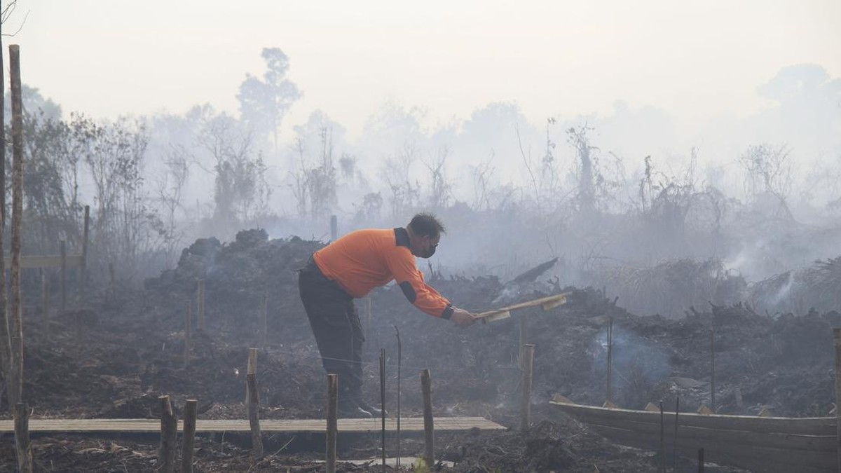 FOTO: Pontianak Mulai Berselimut Kabut Asap