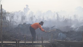 Ada 13 Hotspot di Kaltim, Banjir Terjadi di Penajam Paser Utara