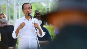 MRP Lapor Jokowi Soal Penangkapan Anggota saat Bahas Otsus Papua