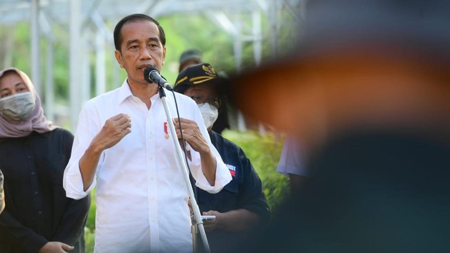 Dalam kesempatan itu, MRP juga menyampaikan usul agar pemerintah menunda rencana pemekaran daerah baru di Papua.