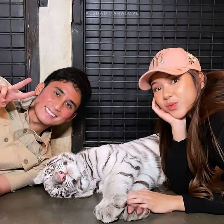 Tiara Andini dan Alshad Ahmad Tiara Andini dan Alshad, sepupunya Raffi Ahmad dikabarkan menjalin asmara. Yuk, intip kebersaman mereka!