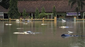 Banjir dan Longsor Landa 38 Desa di Purworejo, 6.085 Warga Mengungsi