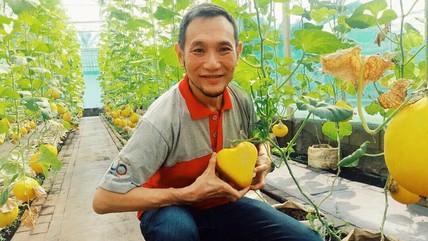Detik Network