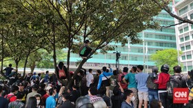 Bos Ducati Kagum Fans Indonesia Naik Pohon Nonton Parade MotoGP