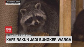 VIDEO: Kafe Rakun Jadi Bungker Warga