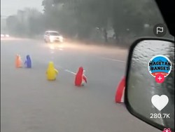 Penguin Jalan-jalan Saat Hujan Deras Landa Magetan