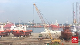 DKI Cabut Izin Lingkungan PT KCN Buntut Polusi Batu Bara di Marunda