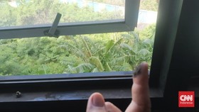 Kisah Debu Tebal Batu Bara di Sudut Sekolah-sekolah di Marunda