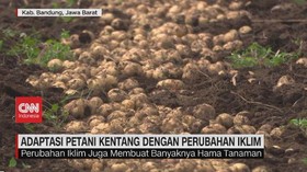 VIDEO: Adaptasi Petani Kentang dengan Perubahan Iklim